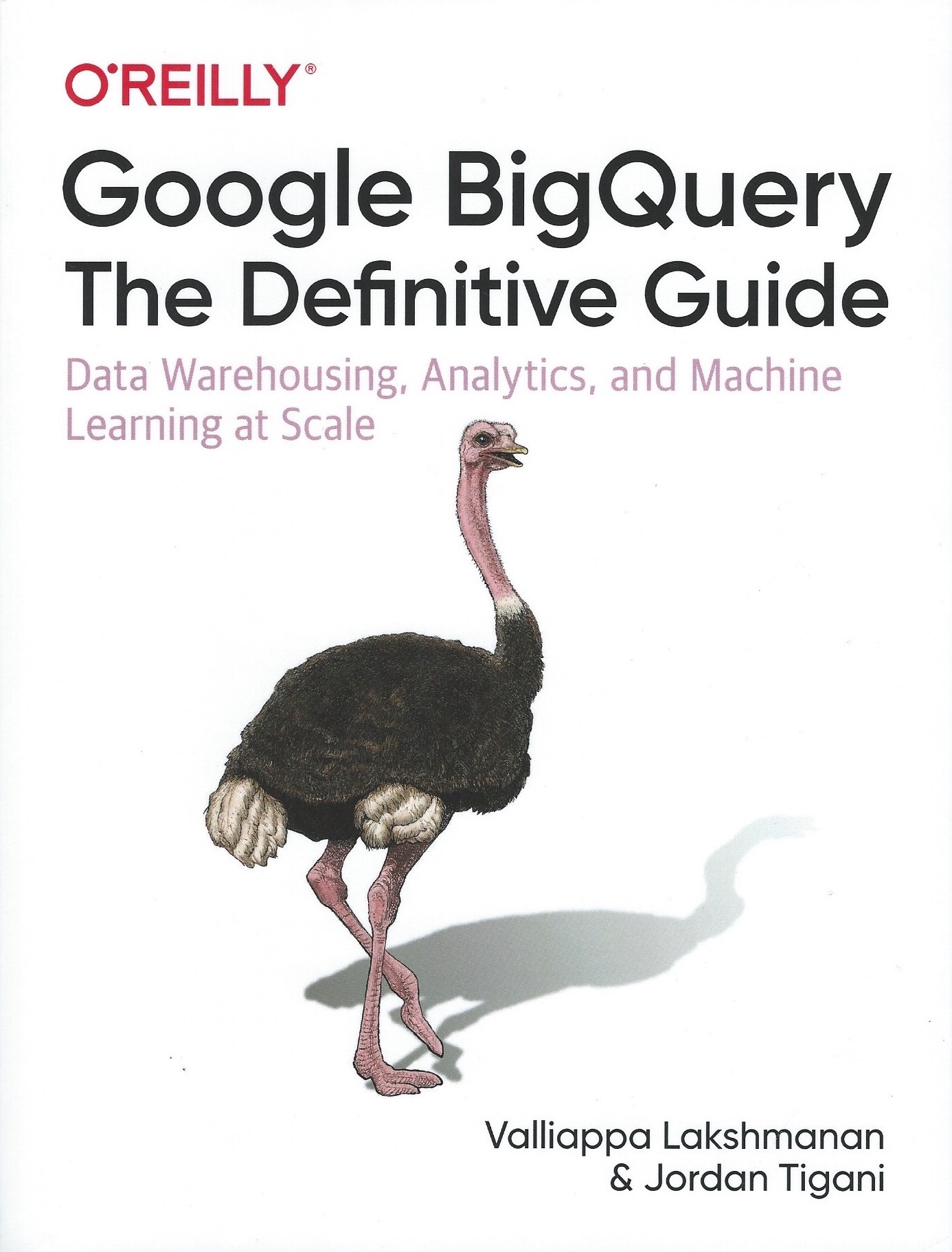 Google BigQuery The Definitive Guide Front Cover